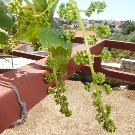 Mit Balkon Und Meerblick By Interhome Apartmán Trogir